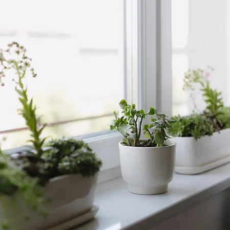 Spacious Centre - Slowackiego * Cracovia