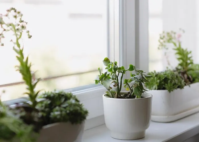 Spacious Centre - Slowackiego * Krakau